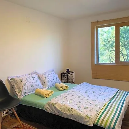 Garden House Near Ξενοδοχείο Κλουζ-Ναπόκα